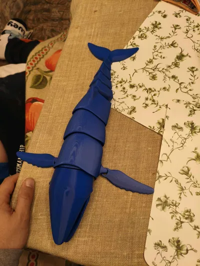 https://makerworld.bblmw.com/makerworld/model/458336/368279/ratings/e5879f90-fa25-11f0-be55-1128c28b4112.jpg