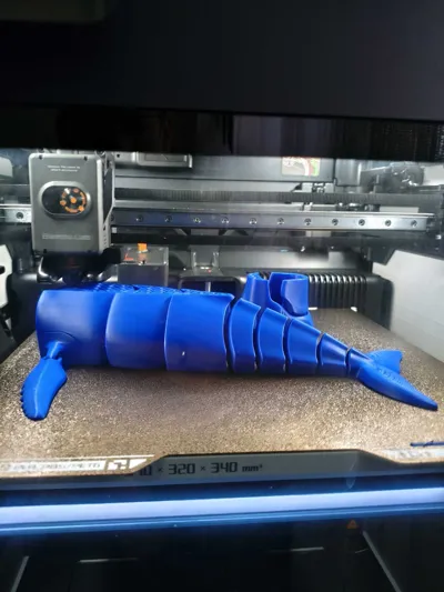 https://makerworld.bblmw.com/makerworld/model/458336/368279/ratings/e588ff20-fa25-11f0-be55-1128c28b4112.jpg