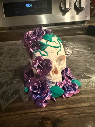https://makerworld.bblmw.com/makerworld/model/460143/368560/ratings/a17a7f10-2af1-11f0-a2e2-2d928d113715.jpg