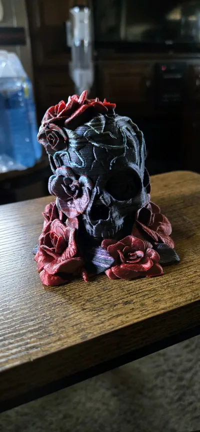https://makerworld.bblmw.com/makerworld/model/460143/370513/ratings/d152e4c0-12fa-11f0-9e34-0150f13f3d46.jpg