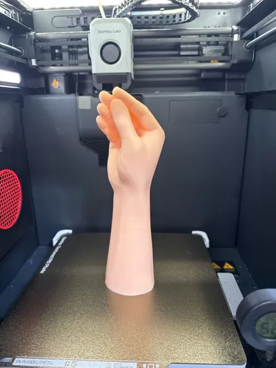 https://makerworld.bblmw.com/makerworld/model/46057/78358/ratings/90cf5430-9c87-11f0-be4b-2b9c7e071542.jpg