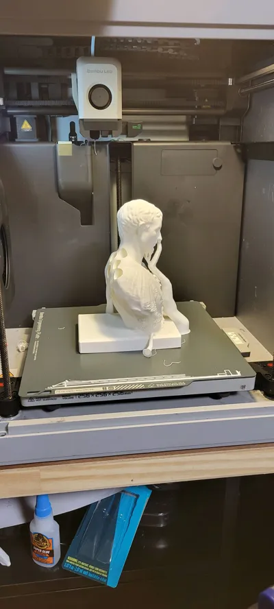 https://makerworld.bblmw.com/makerworld/model/460872/369475/ratings/48e78300-3197-11f0-ab8c-ed69a7613a24.jpg