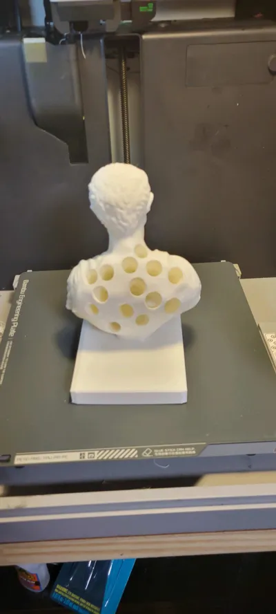 https://makerworld.bblmw.com/makerworld/model/460872/369475/ratings/48ebefd0-3197-11f0-ab8c-ed69a7613a24.jpg