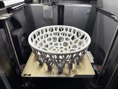 https://makerworld.bblmw.com/makerworld/model/461929/370662/ratings/dfc73cb0-43ea-11f0-bdea-8771d7e205ab.jpg