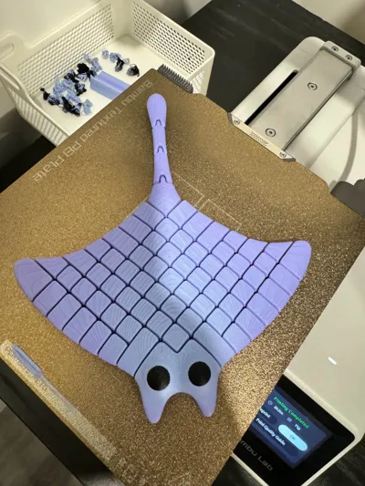 https://makerworld.bblmw.com/makerworld/model/462459/370965/ratings/481f06b0-2ed5-11f0-a264-5baccb7899ef.jpg