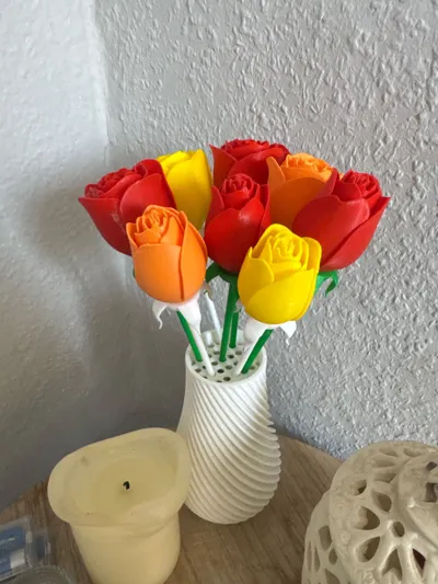 https://makerworld.bblmw.com/makerworld/model/462700/371234/ratings/0528c040-324e-11f0-81df-a38275922c8d.jpg