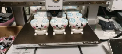 https://makerworld.bblmw.com/makerworld/model/463563/751532/ratings/83ba5c00-0f0f-11f0-8830-75dcda0324e3.jpg