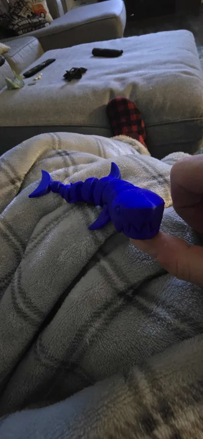 https://makerworld.bblmw.com/makerworld/model/463778/372396/ratings/7a86ef90-c814-11f0-bd53-75600de0ca3a.jpg