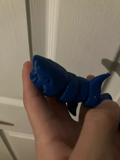 https://makerworld.bblmw.com/makerworld/model/463778/372543/ratings/0cebf690-31f3-11f0-864a-3b64f710f5b5.jpg