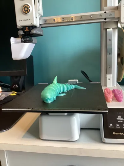 https://makerworld.bblmw.com/makerworld/model/463778/372543/ratings/3f5f6070-3e01-11f0-94ae-e1187893a714.jpg