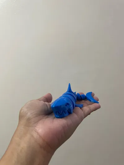 https://makerworld.bblmw.com/makerworld/model/463778/372543/ratings/5d0e0b20-6edb-11f0-acb3-3f8448e547af.jpg