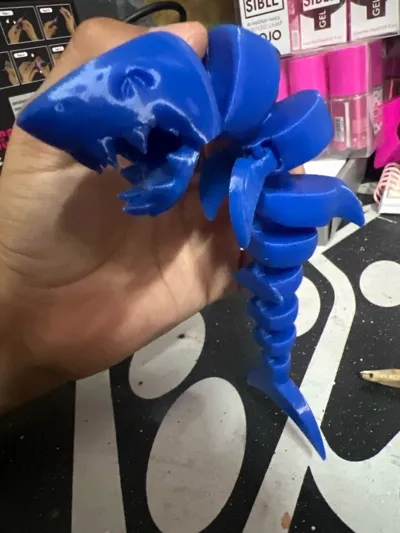 https://makerworld.bblmw.com/makerworld/model/463778/372543/ratings/69635750-99af-11f0-80ea-31a5b0905267.jpg