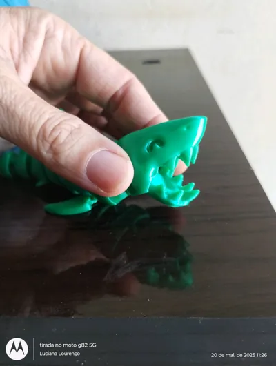 https://makerworld.bblmw.com/makerworld/model/463778/372543/ratings/809abe00-3586-11f0-b115-75e3775f2067.jpg