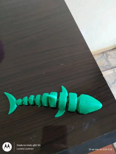 https://makerworld.bblmw.com/makerworld/model/463778/372543/ratings/80c72530-3586-11f0-b115-75e3775f2067.jpg