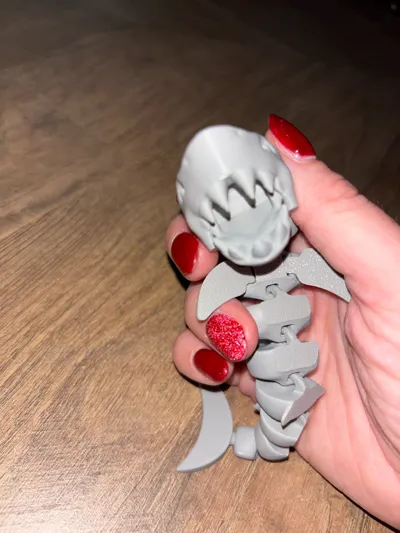 https://makerworld.bblmw.com/makerworld/model/463778/372543/ratings/a7cc5d80-e553-11f0-85e4-2fb99578f128.jpg