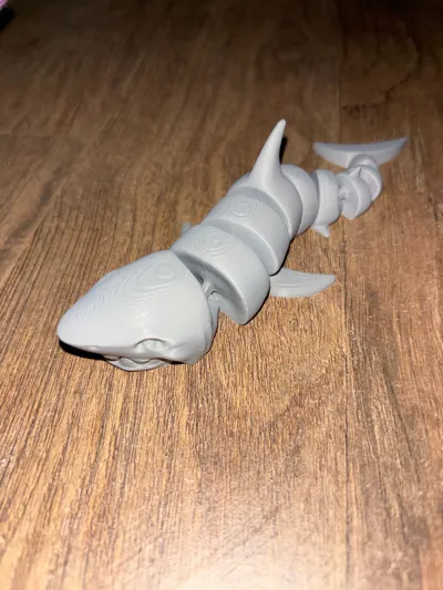 https://makerworld.bblmw.com/makerworld/model/463778/372543/ratings/a7ed2bf0-e553-11f0-85e4-2fb99578f128.jpg