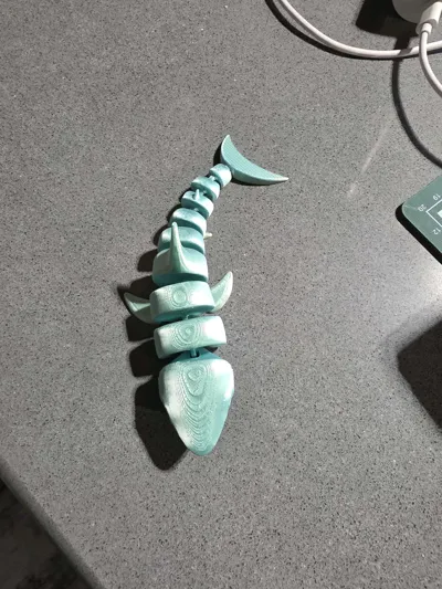 https://makerworld.bblmw.com/makerworld/model/463778/372543/ratings/af4cdb00-b0ee-11f0-b500-cbcf73d8ed81.jpg
