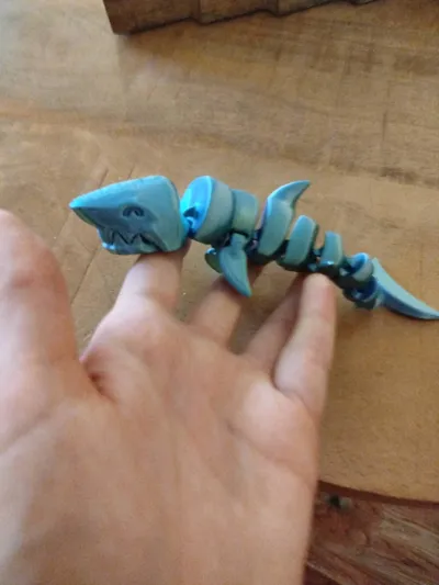 https://makerworld.bblmw.com/makerworld/model/463778/372543/ratings/c330f8e0-e5a0-11f0-a3eb-c7d0195423ef.jpg