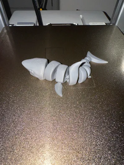 https://makerworld.bblmw.com/makerworld/model/463778/372543/ratings/fcdf9160-86b8-11f0-ae20-9772b100cec8.jpg