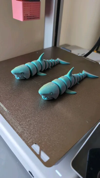 https://makerworld.bblmw.com/makerworld/model/463778/372552/ratings/d459f370-81f9-11f0-adf7-79a511276aa8.jpg