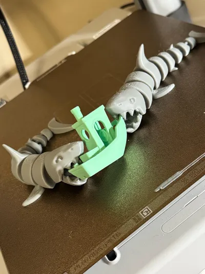 https://makerworld.bblmw.com/makerworld/model/463778/446087/ratings/169a26b0-5a9a-11f0-af65-034fa3584176.jpg