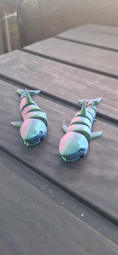 https://makerworld.bblmw.com/makerworld/model/463778/446089/ratings/a36ab730-3632-11f0-baf2-672ce4556584.jpg