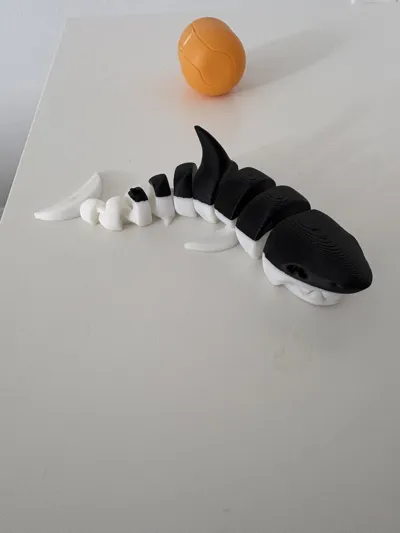 https://makerworld.bblmw.com/makerworld/model/463778/970114/ratings/aadf0390-080b-11f0-8e7a-3d0745f014b4.jpg