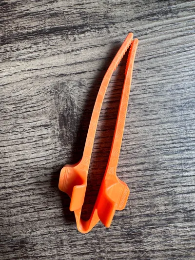 https://makerworld.bblmw.com/makerworld/model/464106/372819/ratings/8887ad30-73c5-11f0-948c-fb98685571d3.jpg