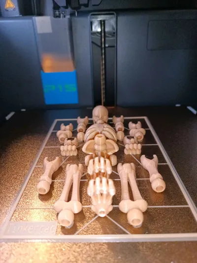 https://makerworld.bblmw.com/makerworld/model/465358/1827645/ratings/15fb8bf0-9af4-11f0-8994-9736821f0c3e.jpg