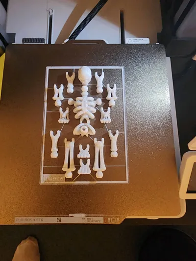 https://makerworld.bblmw.com/makerworld/model/465358/1827645/ratings/1996a280-daba-11f0-8169-5537d6c857e1.jpg