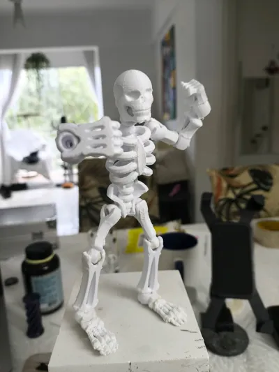 https://makerworld.bblmw.com/makerworld/model/465358/1827645/ratings/9bd59ad0-d1d2-11f0-ba26-251911659121.jpg
