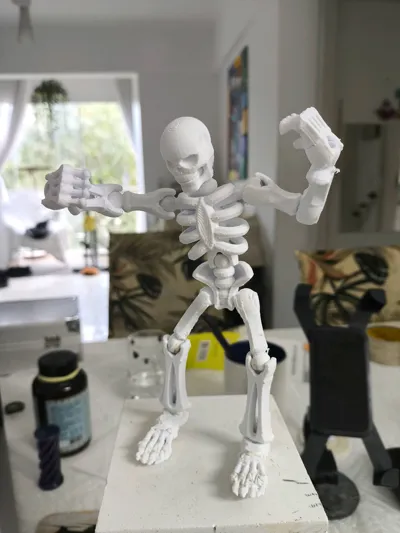 https://makerworld.bblmw.com/makerworld/model/465358/1827645/ratings/9bd76f90-d1d2-11f0-ba26-251911659121.jpg