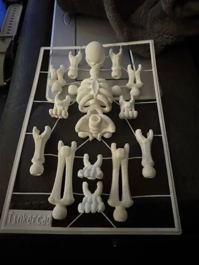 https://makerworld.bblmw.com/makerworld/model/465358/1827645/ratings/f615e7a0-a17d-11f0-a5cd-039a5d7f5502.jpg