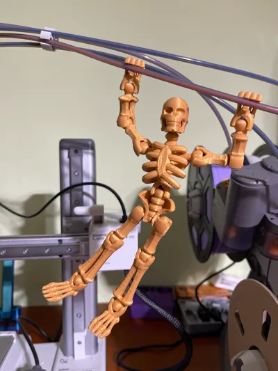 Skeleton Kit Card-Tinkercad Remixed by High Desert 3D MakerWorld ...