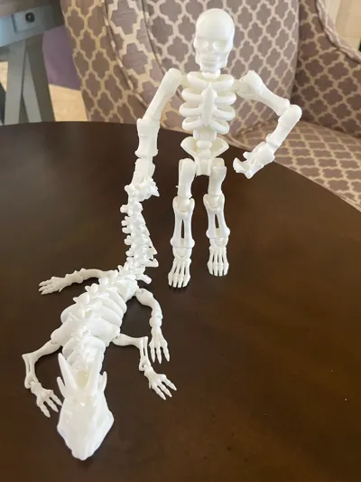 Skeleton Kit Card-Tinkercad Remixed by High Desert 3D MakerWorld ...