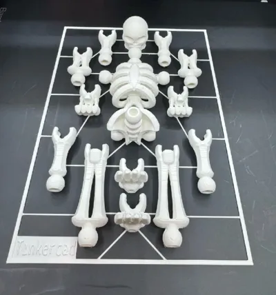 https://makerworld.bblmw.com/makerworld/model/465358/374187/ratings/4aaec790-97f7-11f0-b3ae-7d5e58fbc7e8.jpg
