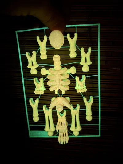Skeleton Kit Card-Tinkercad Remixed by High Desert 3D MakerWorld ...