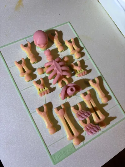 Skeleton Kit Card-Tinkercad Remixed by High Desert 3D MakerWorld ...