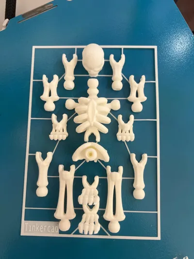https://makerworld.bblmw.com/makerworld/model/465358/374187/ratings/baa61670-89dd-11f0-b16f-8f06fe11ffe0.jpg