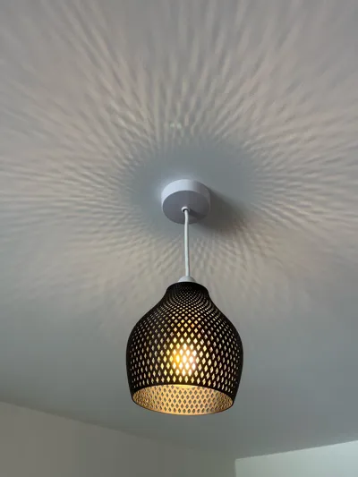 https://makerworld.bblmw.com/makerworld/model/466600/375616/ratings/463620d0-b57c-11f0-8168-4f69b28b876f.jpg