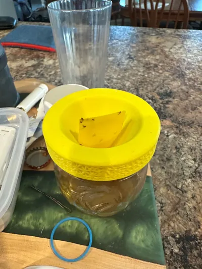 https://makerworld.bblmw.com/makerworld/model/467070/376109/ratings/2d3d0490-9d30-11f0-bea2-616321e746ca.jpg