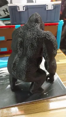 https://makerworld.bblmw.com/makerworld/model/467246/376294/ratings/d96388e0-0909-11f0-9a3b-4fc6c6b1f120.jpg
