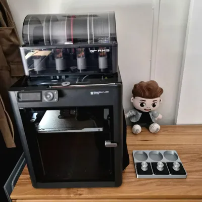 https://makerworld.bblmw.com/makerworld/model/467269/376315/ratings/dfcadb60-9037-11f0-9ce6-8b7111f02b2d.jpg