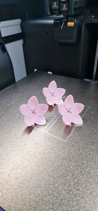 https://makerworld.bblmw.com/makerworld/model/467344/376399/ratings/ad4d9ea0-8828-11f0-95eb-1739c8035392.jpg
