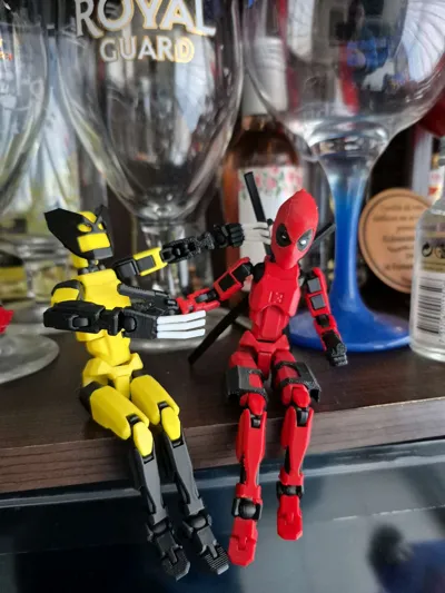 https://makerworld.bblmw.com/makerworld/model/467865/376985/ratings/cb14e390-6351-11f0-8d0e-fb3fcb684c52.jpg