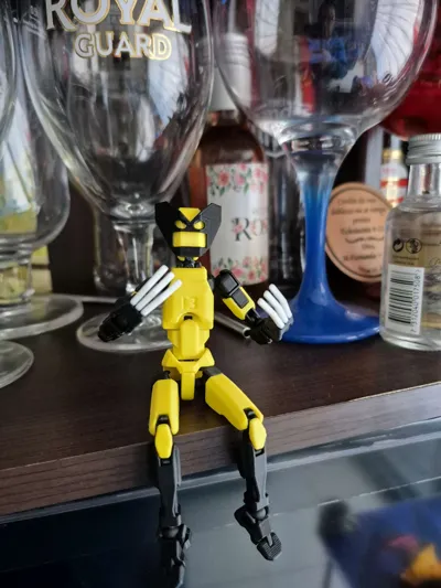 https://makerworld.bblmw.com/makerworld/model/467865/376985/ratings/cb1a13b0-6351-11f0-8d0e-fb3fcb684c52.jpg