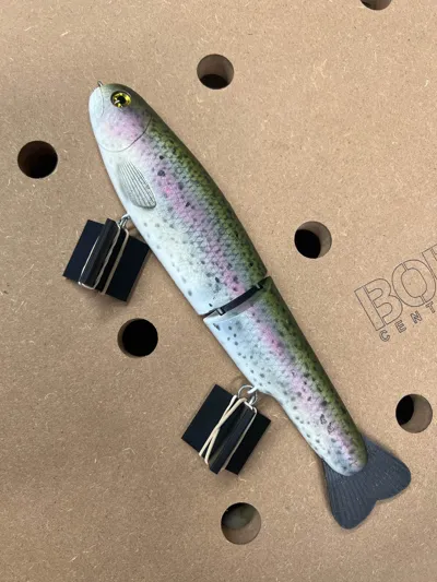 https://makerworld.bblmw.com/makerworld/model/469382/378786/ratings/286173d0-2769-11f0-bef5-9194e21c96d0.jpg