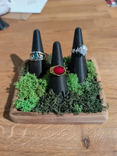 https://makerworld.bblmw.com/makerworld/model/47006/63667/ratings/3eaf30c0-08ef-11f0-811f-1d44f388f992.jpg