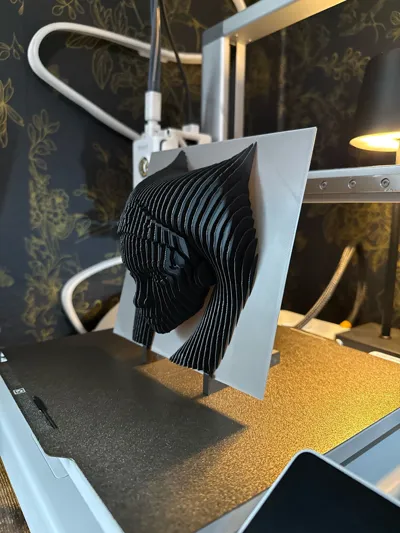 https://makerworld.bblmw.com/makerworld/model/470314/379805/ratings/850a7b40-2d22-11f0-867a-179f0698e90b.jpg