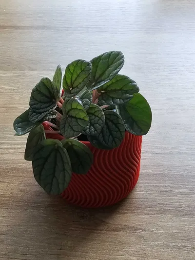 https://makerworld.bblmw.com/makerworld/model/471373/380988/ratings/016b4850-7ab6-11f0-b2ca-6f11a076a8a6.jpg